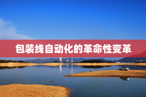 包装线自动化的革命性变革