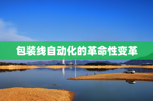 包装线自动化的革命性变革