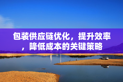 包装供应链优化，提升效率，降低成本的关键策略
