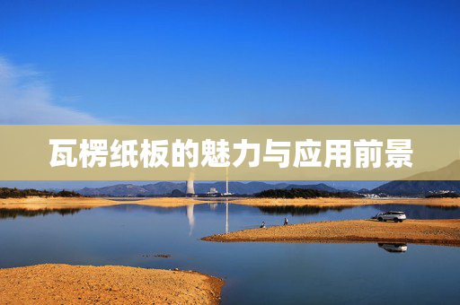 瓦楞纸板的魅力与应用前景