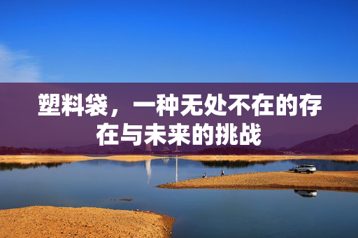 塑料袋，一种无处不在的存在与未来的挑战