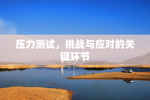 压力测试，挑战与应对的关键环节