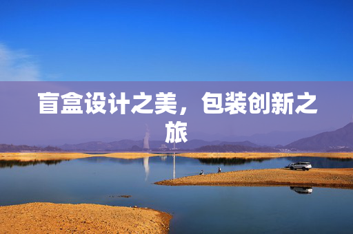 盲盒设计之美，包装创新之旅