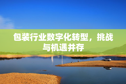 包装行业数字化转型，挑战与机遇并存